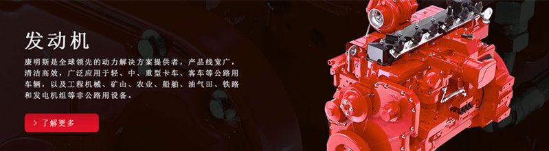 康明斯柴油發(fā)電機組_品牌(東風康明斯,重慶康明斯)發(fā)電機組價格_參數(shù)_圖片_型號_規(guī)格尺寸
